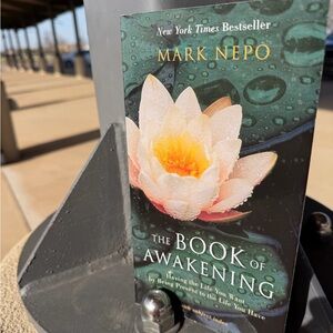 The Book of Awakening